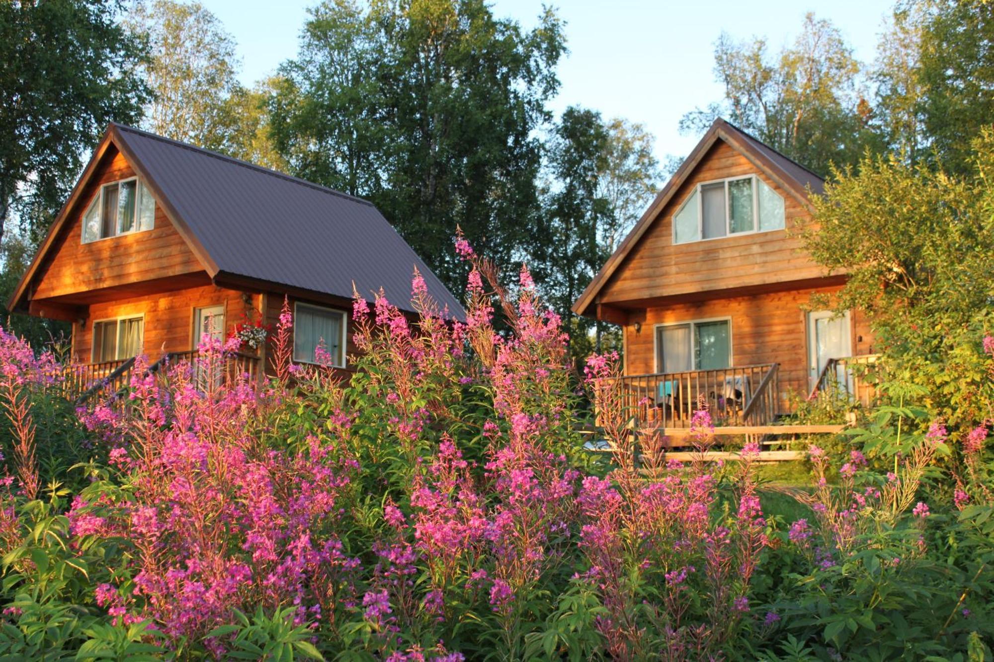 Susitna River Lodging, Riverside Cabins ทัลคีทนา ภายนอก รูปภาพ
