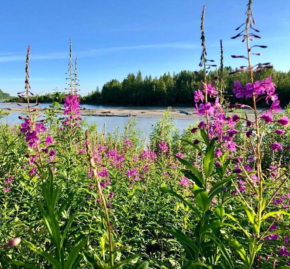 Susitna River Lodging, Riverside Cabins ทัลคีทนา ภายนอก รูปภาพ