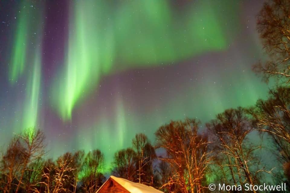 Susitna River Lodging, Riverside Cabins ทัลคีทนา ภายนอก รูปภาพ