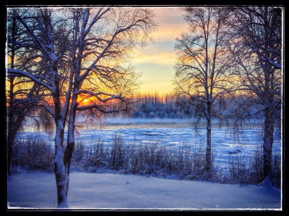 Susitna River Lodging, Riverside Cabins ทัลคีทนา ภายนอก รูปภาพ